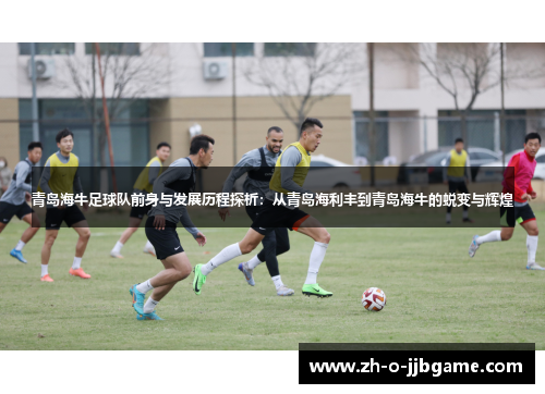 青岛海牛足球队前身与发展历程探析：从青岛海利丰到青岛海牛的蜕变与辉煌